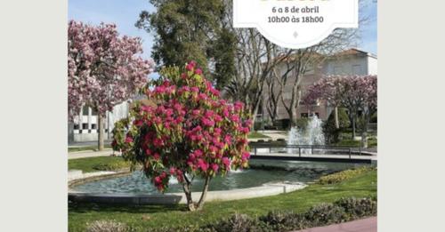 Resende, Portugal, acolhe Feirinha de Páscoa até domingo