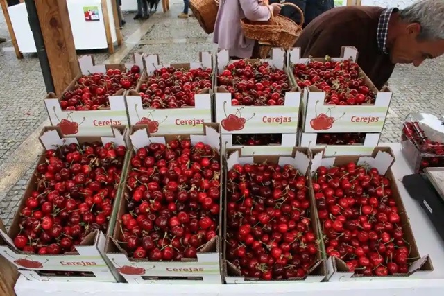 Vila de Resende, últimos preparativos para o Festival da Cereja em junho