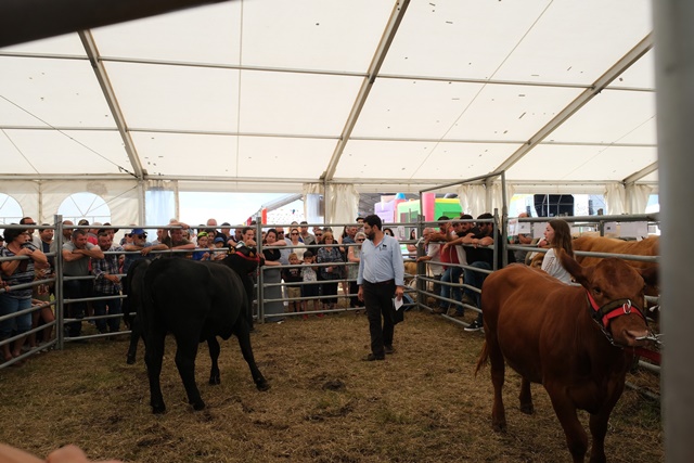 Vila do Porto: Na festa de São João, a II Bienal Agro Comercial na Ilha de S. Maria