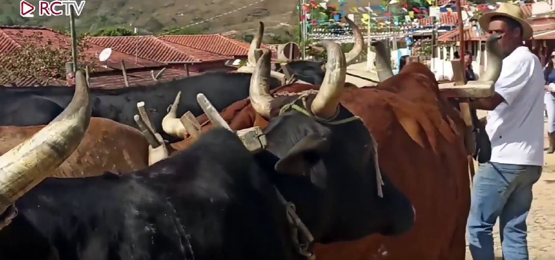 Resende Costa: comunidade dos Pintos realiza XXI Festa de São João
